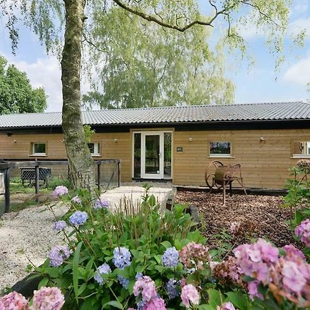 Bed and Breakfast Bos En Beek Ulvenhout Exterior foto